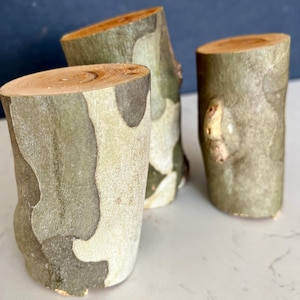 May include: Three cylindrical wooden pieces with a natural bark pattern in shades of green, gray, and brown. The tops of the pieces reveal the wood's grain. The objects are arranged on a white surface with a dark blue background.