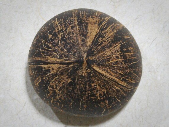 Natural Handmade Decor Coconut Shell Bowl Painting Elephant Round Ware Soap Gift 
