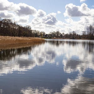 Puede incluir: Un paisaje sereno con un lago tranquilo que refleja un cielo nublado. El agua refleja las nubes blancas y el cielo azul. Los juncos bordean la orilla y los árboles son visibles en el fondo, creando una escena pacífica.