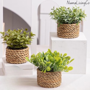 May include: Three small artificial plants with green leaves in woven, light brown pots. The pots have a rope-like texture. The plants are arranged on white platforms and a white surface. The brand name "NumaLivingCo" is visible in the top right corner.