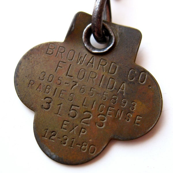 Rabies Tag Collar Etsy