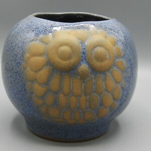 Può includere: Un vaso in ceramica rotondo con smalto blu maculato e un design a gufo in rilievo color marrone chiaro sulla parte anteriore. Il vaso presenta un corpo largo e bulboso con un'apertura stretta sulla parte superiore e una texture artigianale.
