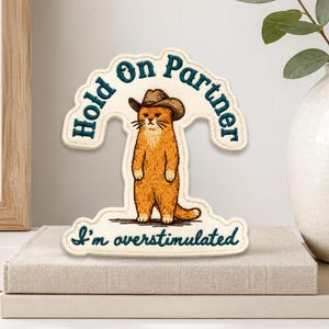 May include: An embroidered patch featuring an orange cat wearing a brown cowboy hat, standing upright. The text reads Hold On Partner above the cat and I'm overstimulated below the cat in dark teal thread on a cream-colored fabric background.