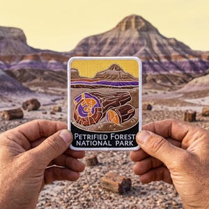 May include: A rectangular patch featuring a landscape design with the text "Petrified Forest National Park." The patch depicts a cross-section of a petrified log with brown and orange tones, set against a backdrop of mountains and a yellow sky.