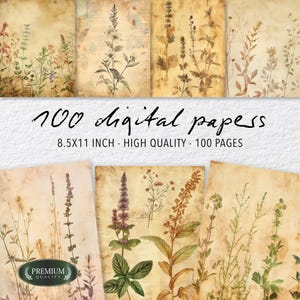 May include: A collection of 100 digital papers featuring botanical illustrations. The papers have a vintage aesthetic with aged paper textures and drawings of various plants and flowers. The text on the image reads "100 digital papers" and "8.5x11 inch - High Quality - 100 pages."