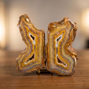 Puede incluir: Un par de rodajas de geoda de ágata divididas que presentan bandas concéntricas de depósitos minerales amarillos, blancos y grises. El interior de cada pieza revela un centro hueco revestido con pequeños cristales brillantes, con bordes rugosos.