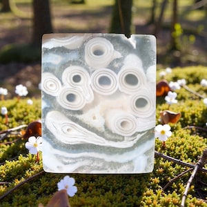 Puede incluir: Una piedra rectangular translúcida con un patrón único de remolinos blancos y grises y formaciones circulares. La piedra se encuentra sobre un fondo de musgo verde, pequeñas flores blancas y un bosque borroso.