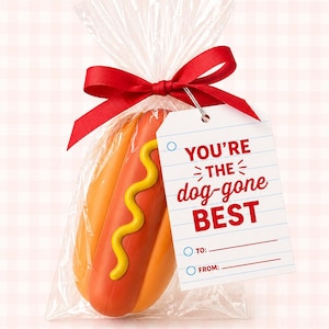 May include: A hot dog-shaped gift in a clear cellophane bag, tied with a red ribbon. The hot dog has a yellow mustard design. A white tag reads "You're the dog-gone BEST" with spaces for "To:" and "From:"