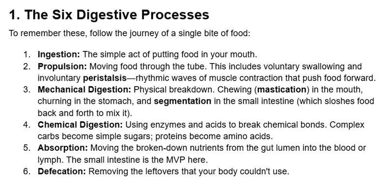 List Digestion Process Digestive System Notes - Etsy
