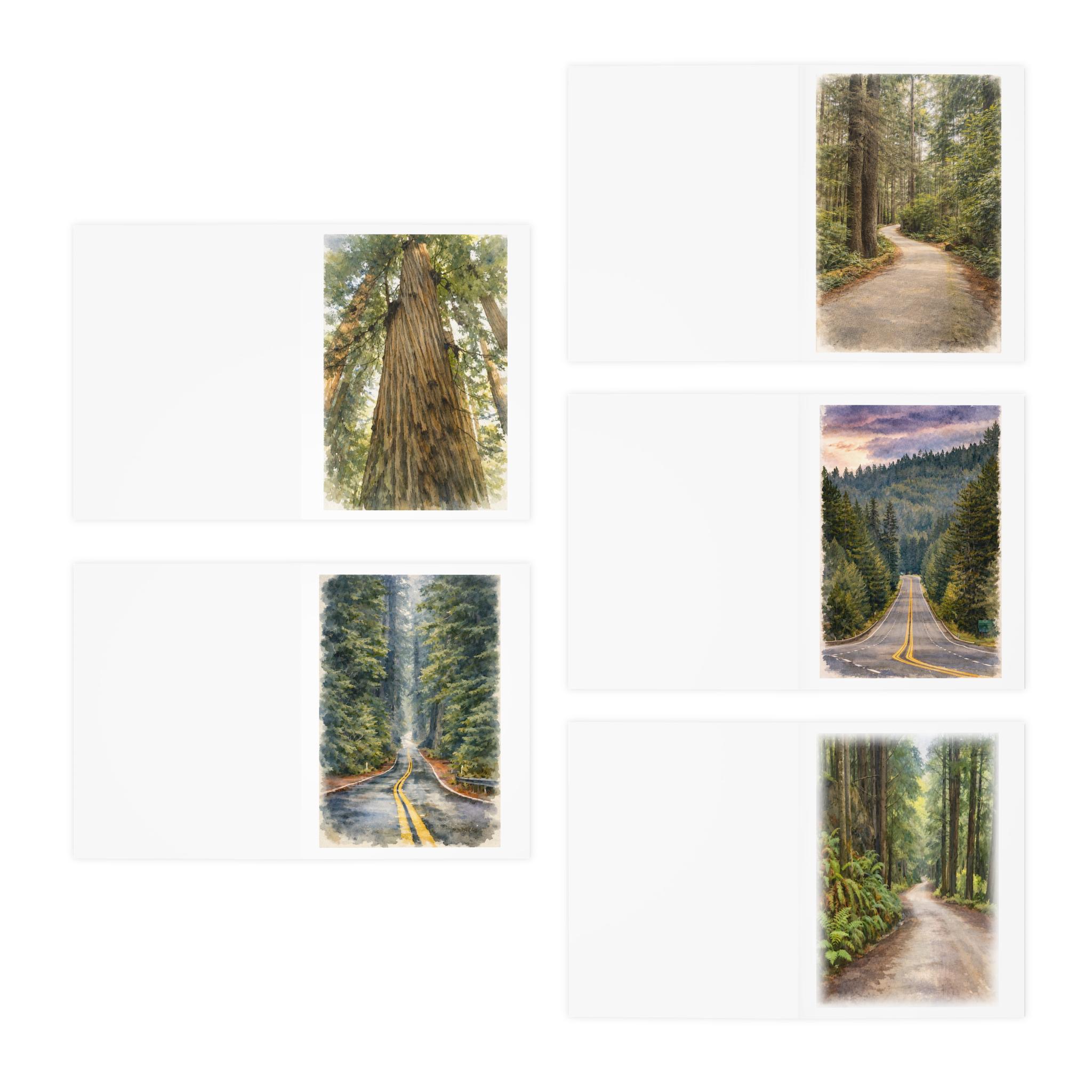 Blank Note Cards Set of 5, Redwood Forest Cards, Scenic Nature Cards ...