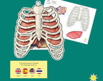 Flip-up Respiratory System Interactive Learning (Hands-on Science Activity ) by @mershaa.e