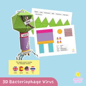 Op de afbeelding: Een 3D-model van een bacteriofaagvirus, gemaakt van groen, paars en blauw papier. Het model bevat gelabelde onderdelen zoals "Kapsid" en "DNA". Bijbehorende diagrammen en instructies zijn zichtbaar. De afbeelding bevat ook een afbeelding met vlaggen die vier taalversies vertegenwoordigen.