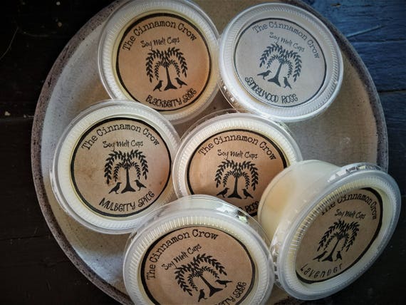 Hand Poured 100% Soy Wax Melt  ~ Set of 6