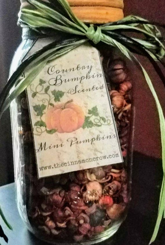 Fall  scented mini pumpkins