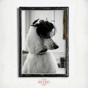 Retrato de Poodle, Foto Vintage de Cachorro, Impressão de Animal de Estimação, Arte em Preto e Branco (Download Digital)
