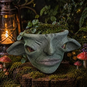 May include: A green goblin-faced planter with large ears and a smiling expression. The planter is filled with green moss and small plants. The background includes a lantern, mushrooms, and other foliage, creating a whimsical, fantasy theme.