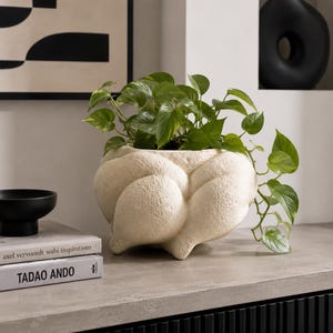 May include: A cream-coloured ceramic planter with a textured, organic, knotted surface shape containing a green pothos plant with trailing leaves. The planter has a rounded, bulbous form with deep indentations, creating a sculptural appearance.