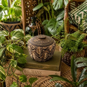 May include: A round, lidded ceramic jar featuring a dark, textured finish with intricate, carved-style patterns in shades of brown and cream. The jar sits atop two stacked hardcover books, one titled The World of Plants and the other Bohemians.