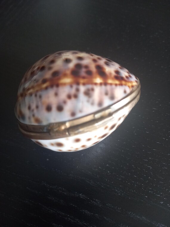 Vintage Cowrie Shell Trinket Box | Solid Brass Mount, Coastal Beach Decor View 6