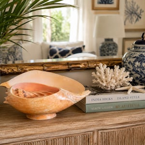 May include: A large, polished, peach-coloured conch shell bowl sits on a wooden surface. Next to it are two stacked books titled India Hicks Island Style and Aerin Lauder Beautiful, topped with a white coral piece and a small starfish.