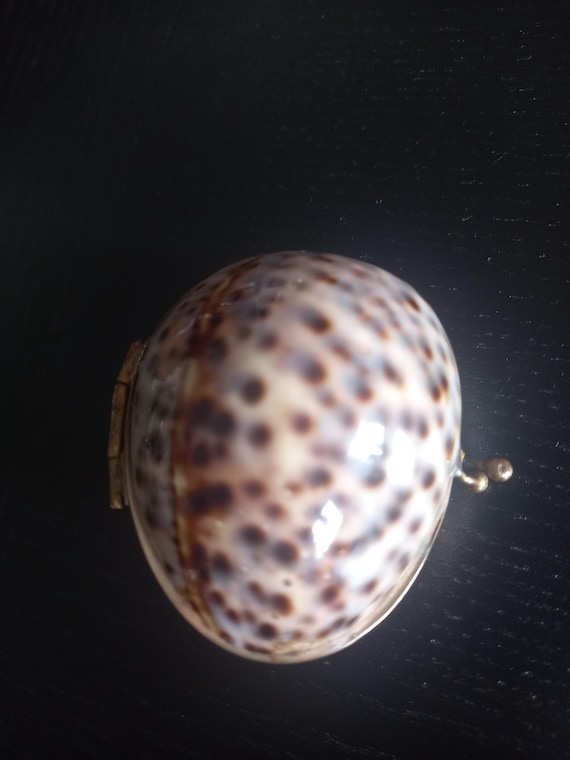 Vintage Cowrie Shell Trinket Box | Solid Brass Mount, Coastal Beach Decor View 4