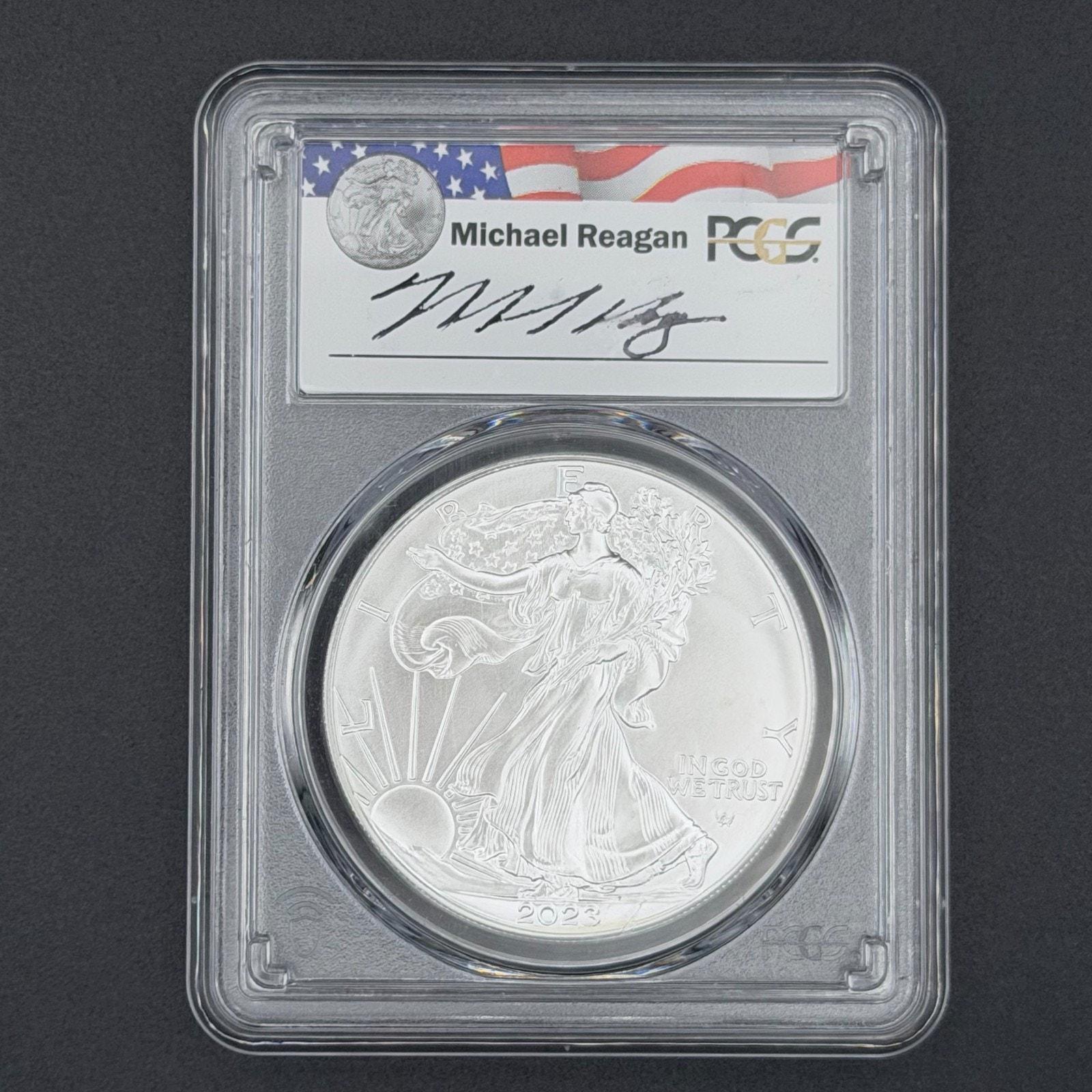 Silver Eagle 2023 Ms70 - Etsy