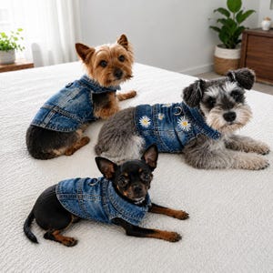 May include: Three dogs wearing blue denim vests. The vest on the right features white daisy flower embroidery. Each vest includes a metal D-ring on the back, visible stitching, a collar, and a button-down front design made of blue denim fabric.