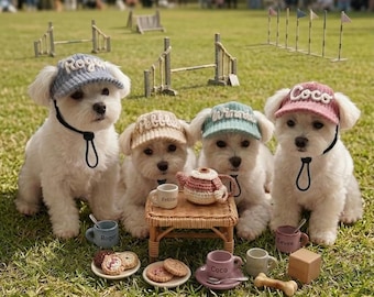 Custom Yarn Name Dog Sun Hat, Adjustable Dog Baseball Cap for Small Medium Large Dogs, Embroidered Puppy Sun Visor, Dog Gift