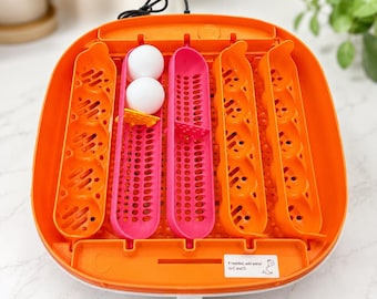 Cesta/bandeja de repuesto ChickCozy