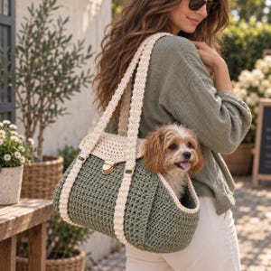 May include: A sage green crocheted pet carrier bag featuring a cream-colored crocheted flap, matching cream straps, and a gold-toned metal clasp closure. A small, long-haired brown and white dog is positioned inside the open pet carrier bag.