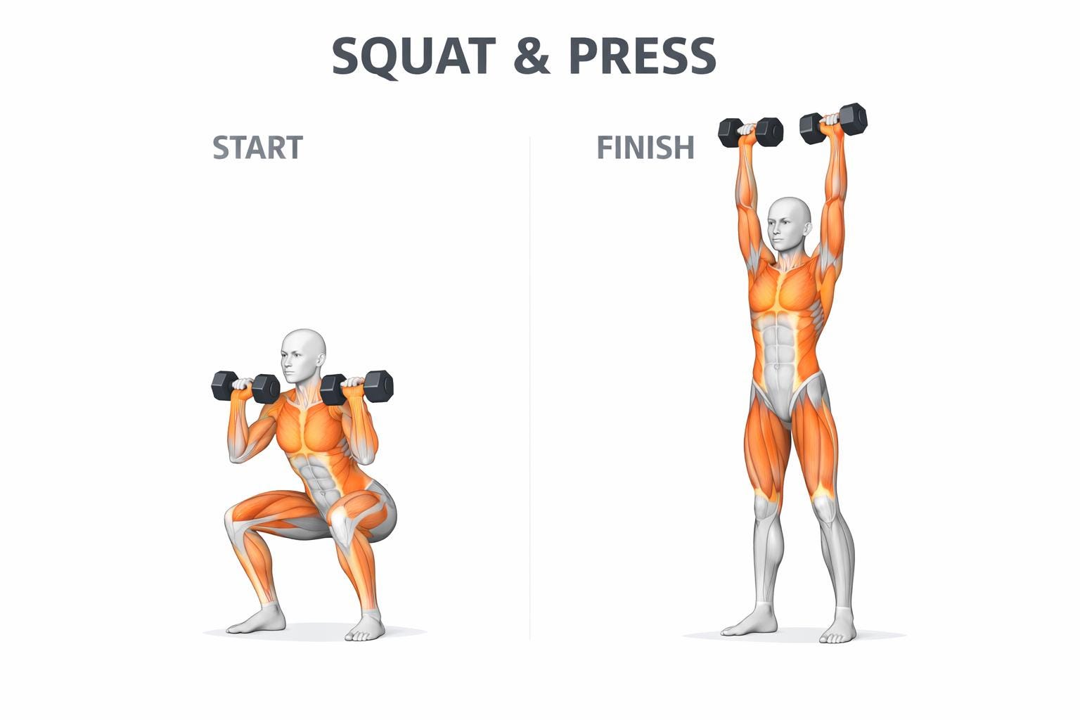 Full Body Muscle Activation Workout | Visual Training Guide for Fat ...