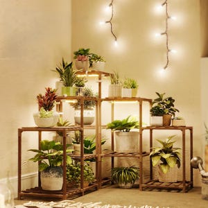 Puede incluir: Un estante de madera para plantas de varios niveles, lleno de varias plantas en macetas. El estante tiene un diseño cuadrado y abierto con varios estantes. Las plantas incluyen suculentas, helechos y otras plantas verdes. La iluminación cálida ilumina las plantas y el estante.