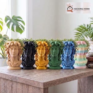 Op de afbeelding: Een rij van zes hoofd-vormige plantenbakken, elk met een gebeeldhouwd gezicht met slangachtig haar, gevuld met hangende groene planten. De potten zijn afgewerkt in beige, zwart, goud, groen, blauw en een pastel regenboogverloop, met Hacking Home logo.