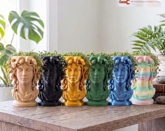 Maceta con forma de cabeza de Medusa / Maceta con forma de busto de diosa griega / Maceta para suculentas con forma de serpiente impresa en 3D / Regalo de decoración gótica bohemia para el hogar de Hacking Home