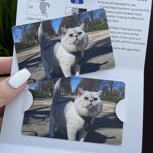 May include: Two cards with a photo of a fluffy, silver-and-white cat. The cat is outdoors on a sunny day. The cards have a white border and a peel-away section. Text on the card reads "Clean the card" and "02".