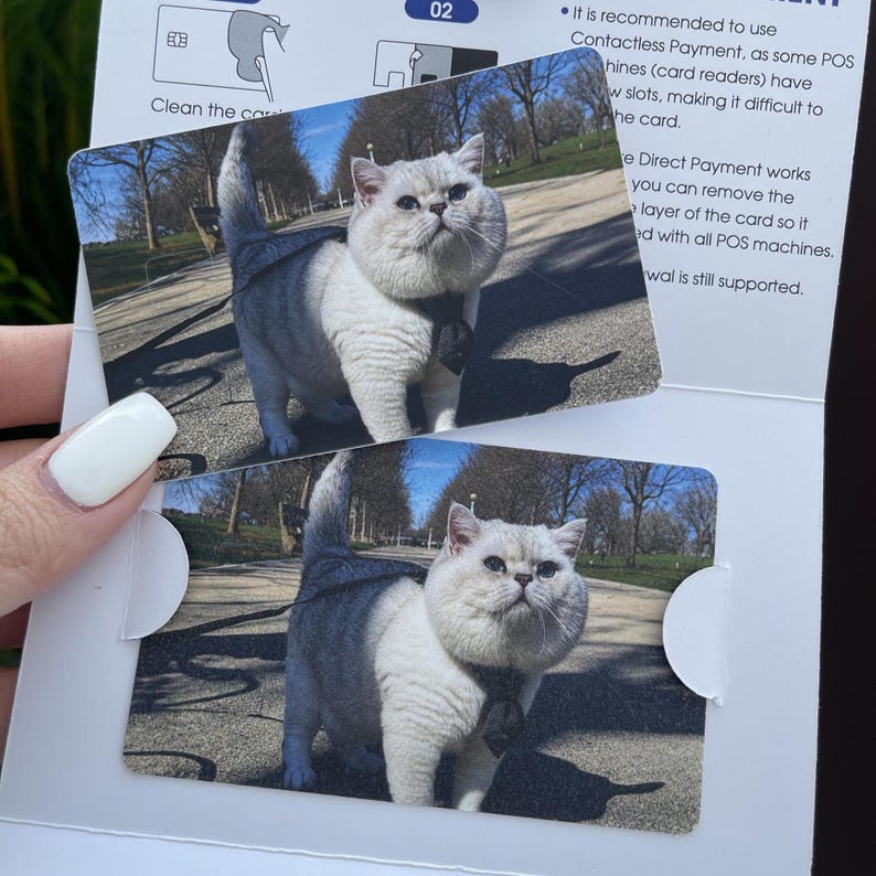 May include: Two cards with a photo of a fluffy, silver-and-white cat. The cat is outdoors on a sunny day. The cards have a white border and a peel-away section. Text on the card reads "Clean the card" and "02".