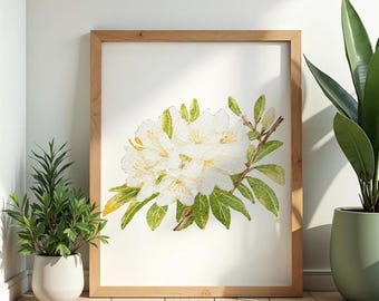 May include: A framed watercolor print of white rhododendron flowers with green leaves and yellow accents. The artwork is displayed in a light brown wooden frame, leaning against a white wall. Two potted plants are in the foreground.