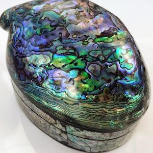 Könnte beinhalten: Eine ovale Schatulle aus schillernder Abalone-Schale mit Scharnierdeckel. Die Oberfläche der Schale zeigt eine lebendige Farbpalette, darunter Blau-, Grün- und Lilatöne, mit einer strukturierten, polierten Oberfläche. Die Schatulle scheint handgefertigt zu sein.