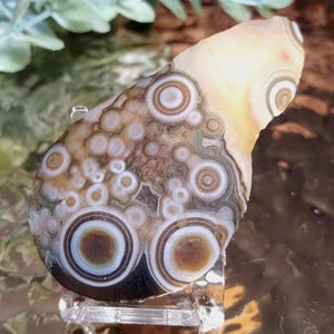 Gobi-Achat Handschmeichler mit Augen, polierter Naturstein, Schutz- und Erdungsstein, Orbs & konzentrische Augen, Sammler- und Energiestein