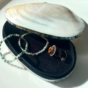 Könnte beinhalten: Geöffnete, muschelförmige Schmuckschatulle mit schwarzem Innenraum, die zwei Perlenarmbänder und drei Ringe enthält. Die Schale ist weiß mit schillernden Akzenten. Die Ringe umfassen einen Ring mit Tigeraugenstein.