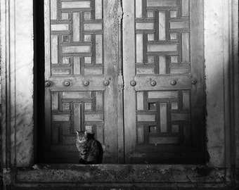 Photography Print. Cat. A4 photo print. Sleepy cat. Istanbul. Door. Doorway. Monochrome. Black & white. Photography. Catnap.