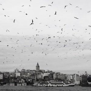 Photo print - 'Bird Dance' . A4 (plus other sizes) photography print. Istanbul, Turkey. Black & white. Monochrome. Birds. Photograph. Flying