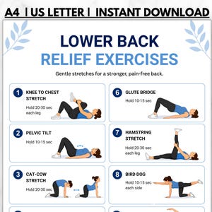 Esercizi per alleviare il mal di schiena (stampabili), guida allo stretching per il mal di schiena, PDF di esercizi di mobilità delicata, tabella per alleviare la sciatica, esercizi da fare a casa