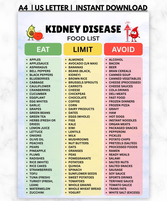 Kidney Disease Food List Printable, Kidney Friendly Foods Chart, Stage 3 CKD Diet Guide, Renal Diet Food List, Kidney Diet Grocery List PDF