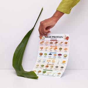 May include: A white rectangular high protein food chart printed with various food illustrations and text categories including meat, poultry, seafood, legumes, dairy, nuts, seeds, and soy. The chart is held upright next to a single long green leaf.