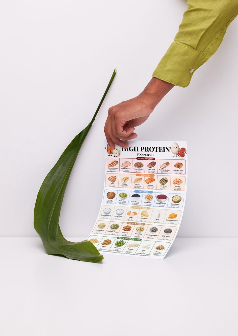 May include: A white rectangular high protein food chart printed with various food illustrations and text categories including meat, poultry, seafood, legumes, dairy, nuts, seeds, and soy. The chart is held upright next to a single long green leaf.