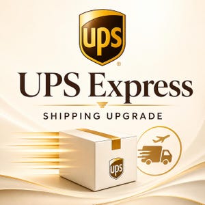 May include: A white cardboard shipping box with a gold UPS logo on the side, featuring motion lines to the left. Above, the UPS shield logo appears with the text UPS Express SHIPPING UPGRADE. A circular icon shows a truck and airplane silhouette.