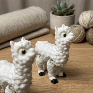 Könnte beinhalten: Eine weiße Keramik-Tasse mit schwarzem Henkel und dem Text "But First, Coffee" in handschriftlichem Stil. Die Tasse steht auf einer weißen Oberfläche. Die Tasse ist etwa 10 cm hoch.