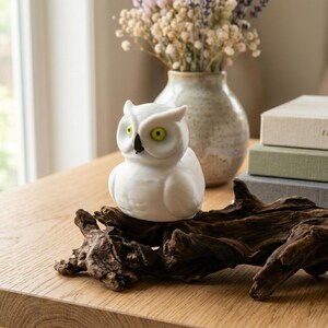 May include: A white owl figurine with yellow eyes and a black beak sits on a piece of driftwood. The owl is in front of a vase with dried flowers and a stack of books. The figurine is a decorative item.