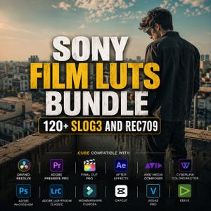 Può includere: Immagine promozionale per un "SONY FILM LUTS BUNDLE" con testo e loghi di software di editing video. L'immagine mostra una persona su un tetto con vista sulla città. Il pacchetto è compatibile con software come Adobe Premiere Pro e DaVinci Resolve.